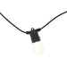 Wye Solar/USB Chargeable Light Festoon with 10 Led Lamps - AG - My Roof Tent