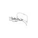 6200 AWNING ADAP 4 ROOF RACK - UK Camping And Leisure - My Roof Tent
