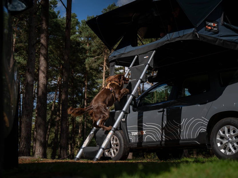 Tentbox LadderSteps - TENTBOX - My Roof Tent
