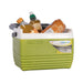Vango Vango Pinnacle Wheelie 45L-100Hr 5 Piece Set Cooler Coolbox 45L Green - Vango - My Roof Tent