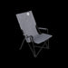Coleman Forester Sling Chair Camping Beach Outdoors Folding Furniture Garden - Coleman - My Roof Tent